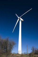 wind turbine