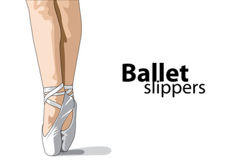ballet slippers © Chisnikov