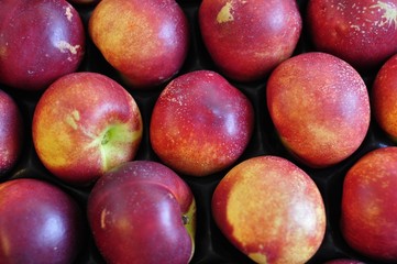 Des nectarines.