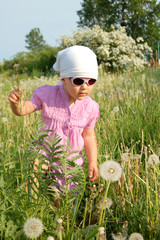 dmuchawce © Rachwalska Irena