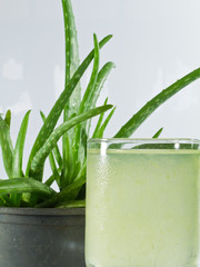 Aloe Drink