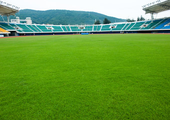 football sports field