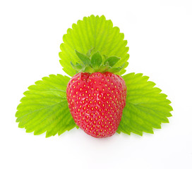 juicy strawberry