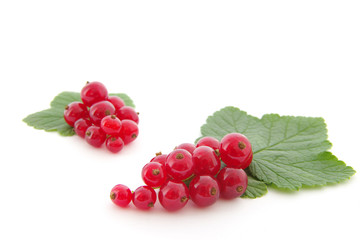 red currants