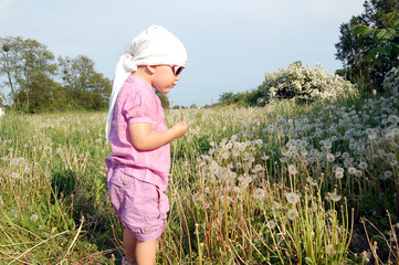 dmuchawce © Rachwalska Irena