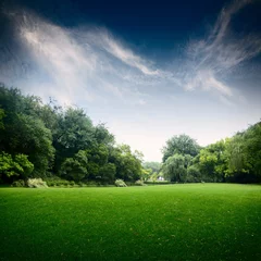 Deurstickers grass field in park © zhu difeng