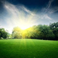 Foto auf Acrylglas Wiese im Park mit Sonnenschein © zhu difeng