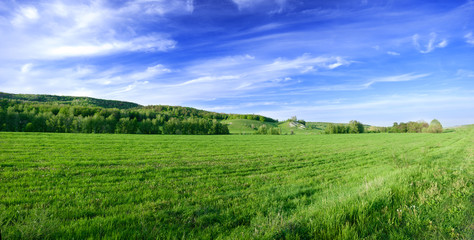 Fototapeta na wymiar Spring sunny day landscape