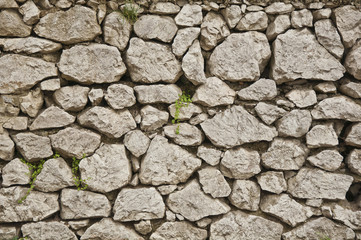 Wall 