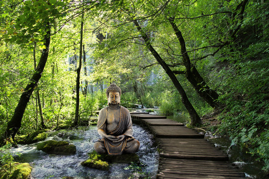 Bouddha et Serenite