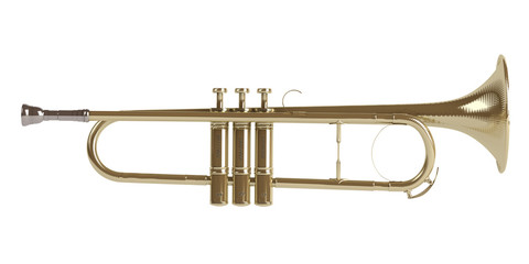 Fototapeta premium Trumpet
