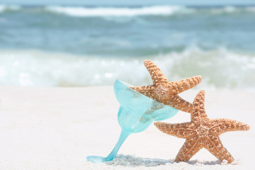 Fototapeta na wymiar starfish on holiday