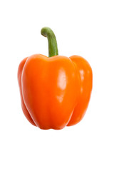 Orange Bell Pepper