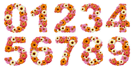Floral numbers