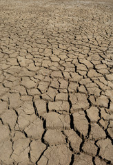 s&eacute;cheresse agricole