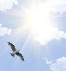 Naklejka premium big seagull in cloud sky