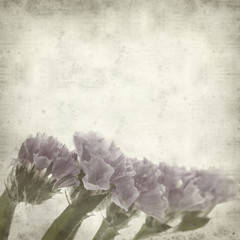 textured old paper background with limonium