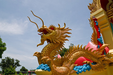 Fototapeta premium Golden dragon statue .