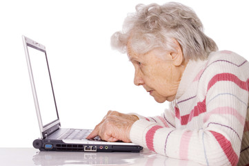 The elderly woman at the computer