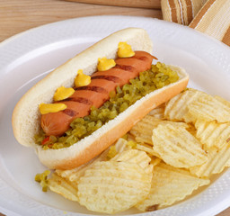 Hot Dog on a Bun