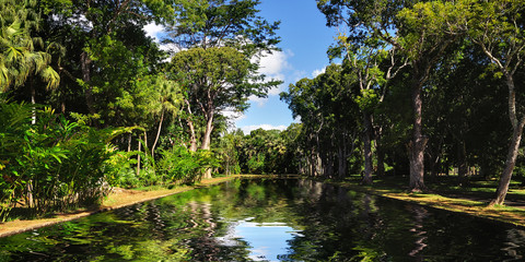 jardin botanique