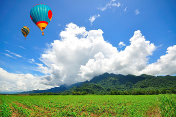 Balloon over Field of young corn