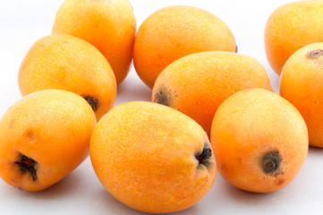 loquat