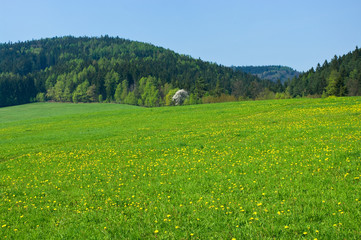 Spring scene with forest and hills