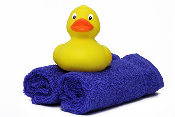 ente auf badet&uuml;cher