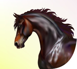 Vector photo realistic horse portrait