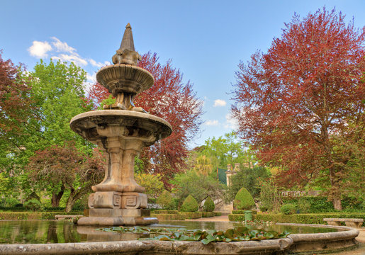 relax in the park