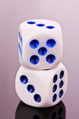 Dices isolated on gray background
