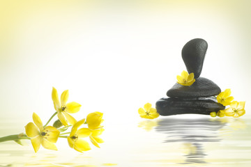 spa rocks and flowers