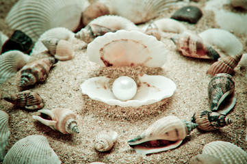 pearl on the seashell