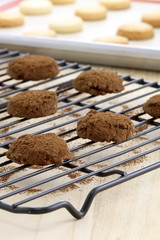 chocolate cookies and shortbread cookies