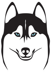 husky head © tribalium81