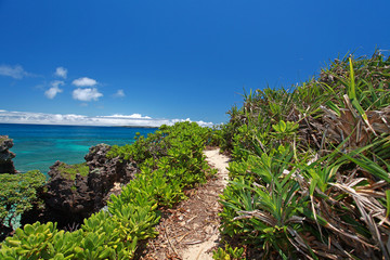 コマカ島の亜熱帯植物と紺碧の空