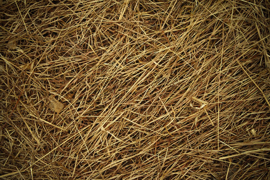 Straw background
