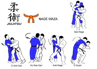 Jiu Jitsu Nage Waza 2