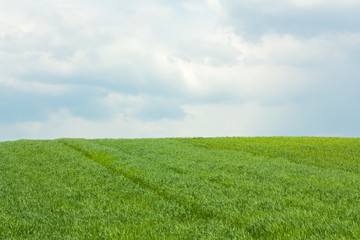 Naklejka premium Rainy day on the farm