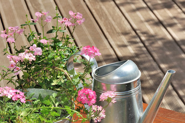 verveine rose et arrosoir sur terrasse en bois © coco