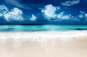 Obraz premium sea and sand