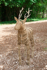 Cerf