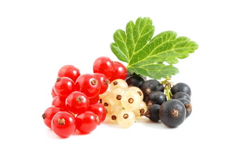 Rote, white und schwarze Johannisbeeren