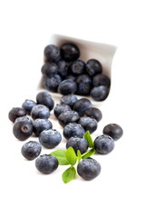 Heidelbeeren