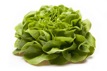 Obraz premium Grüner Salat