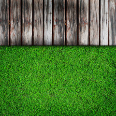 Fresh green grass on Wood background