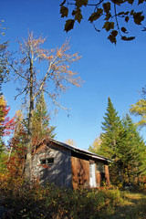 Vertical of old wood cabin
