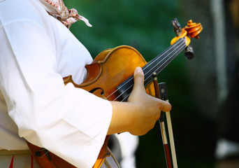 Violin
