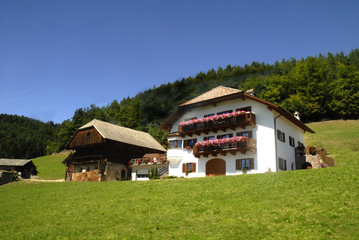 Fototapeta na wymiar Domki na płaskowyżu Renon we włoskim Tyrolu we Włoszech